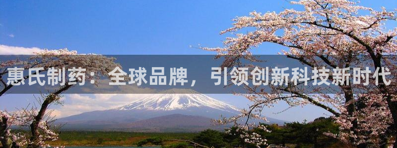 九游会老哥俱乐部：惠氏制药：全球品牌，引领创新科技新时代