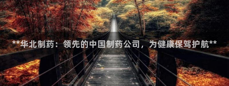 九游会老哥俱乐部：**华北制药：领先的中国制药公司，为健康保驾护航**