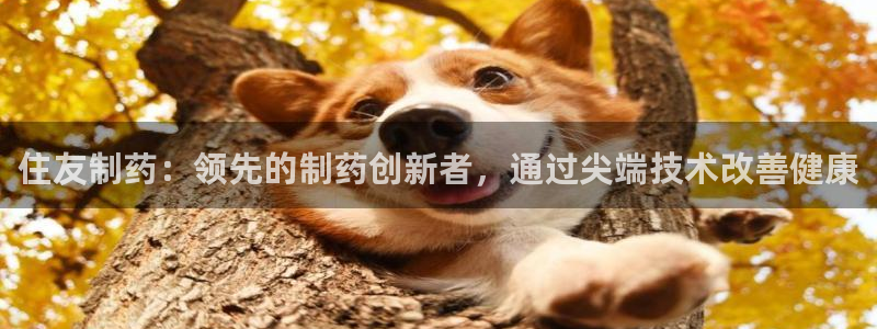 九游会老哥俱乐部社区论坛：住友制药：领先的制药创新者，通过尖端技术改善健康