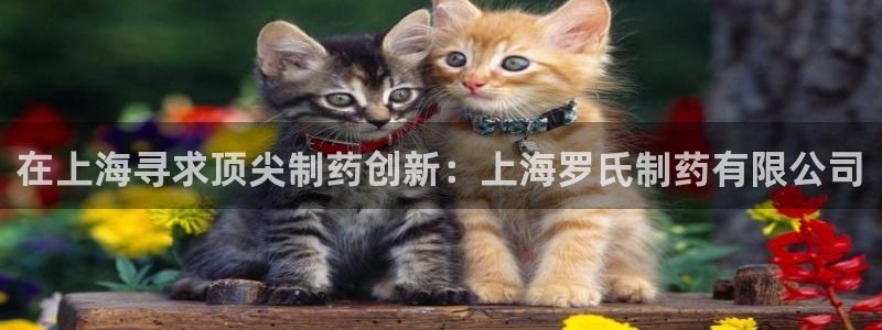 usdt九游会老哥俱乐部：在上海寻求顶尖制药创新：上海罗氏制药有限公司