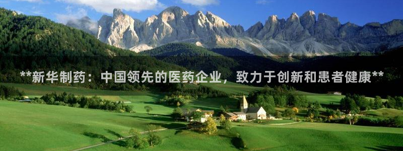老哥吧九游会：**新华制药：中国领先的医药企业，致力于创新和患者健康**