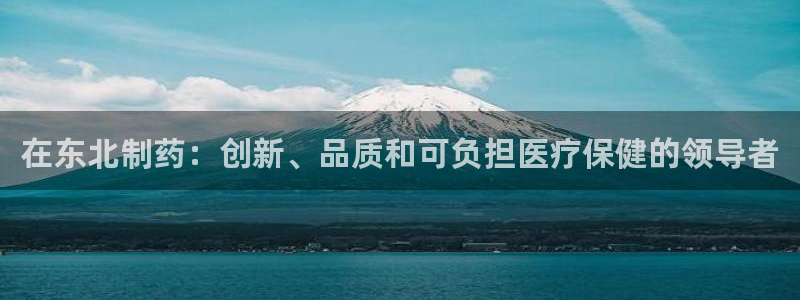 九游会老哥俱乐部官网首页论坛：在东北制药：创新、品质和可负担医疗保健的领导者