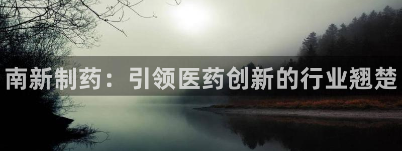 九游会老哥必备的交流社区九：南新制药：引领医药创新的行业翘楚