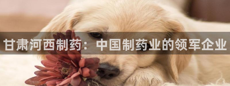 ag九游会老哥：甘肃河西制药：中国制药业的领军企业