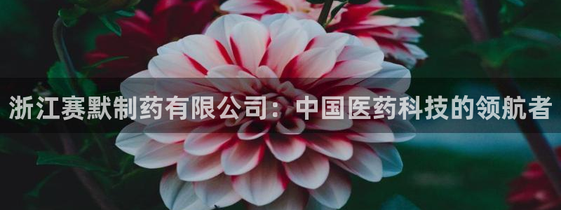 九游会老哥俱乐部官网首页：浙江赛默制药有限公司：中国医药科技的领航者