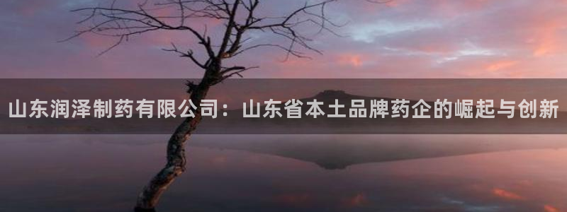 九游会老哥俱乐部论坛版：山东润泽制药有限公司：山东省本土品牌药企的崛起与创新