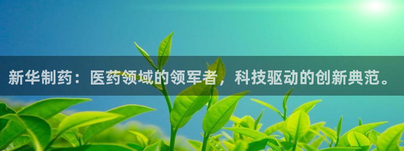 老哥俱乐部是干什么的：新华制药：医药领域的领军者，科技驱动的创新典范。