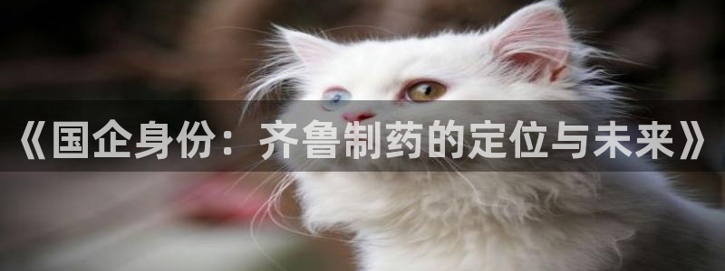九游会老哥必备的交流社区九：《国企身份：齐鲁制药的定位与未来》