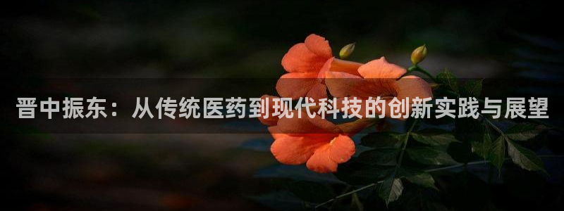 usdt九游会老哥俱乐部：晋中振东：从传统医药到现代科技的创新实践与展望