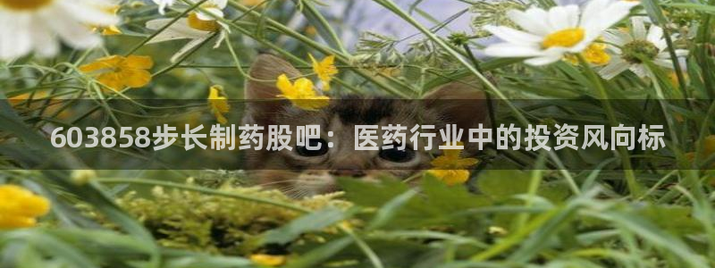 九游老哥俱乐部官网登录不了：603858步长制药股吧：医药行业中的投资风向标