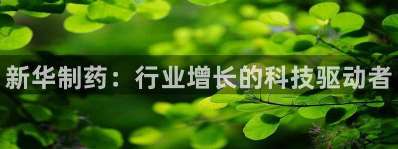 九游会老哥必备的交流社区：新华制药：行业增长的科技驱动者