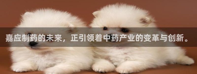 ag九游会老哥俱乐部：嘉应制药的未来，正引领着中药产业的变革与创新。