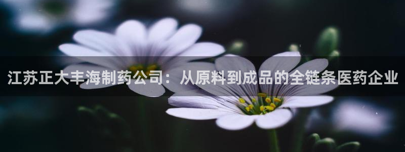 9游会老哥俱乐部：江苏正大丰海制药公司：从原料到成品的全链条医药企业