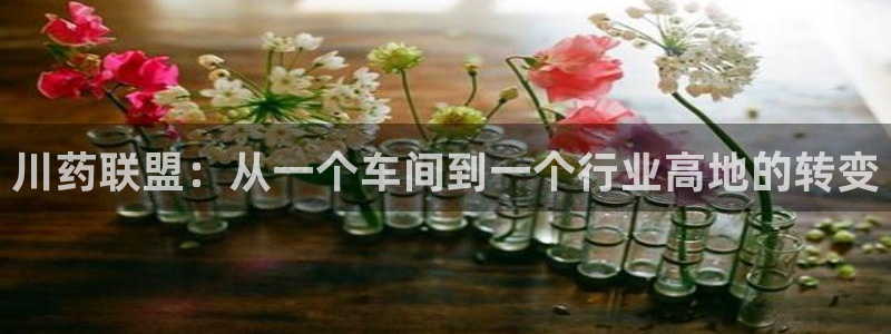 j9九游会老哥俱乐部交流区：川药联盟：从一个车间到一个行业高地的转变