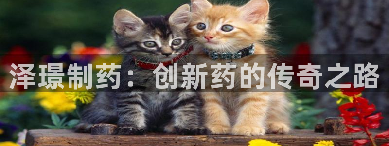 老哥俱乐部是干什么的：泽璟制药：创新药的传奇之路