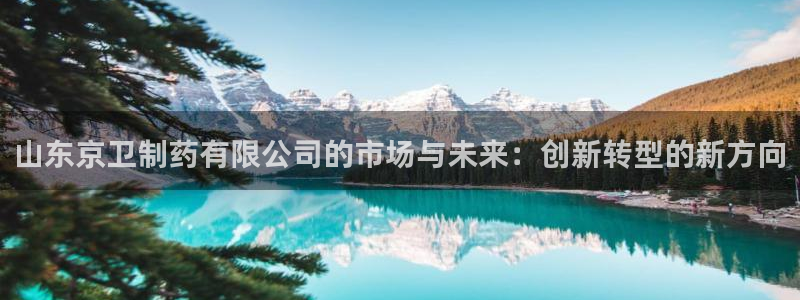 老哥吧九游会下架吗：山东京卫制药有限公司的市场与未来：创新转型的新方向