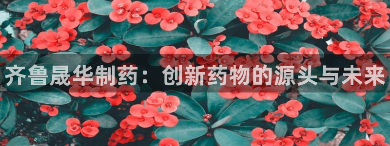 九游会老哥俱乐部官网首页：齐鲁晟华制药：创新药物的源头与未来