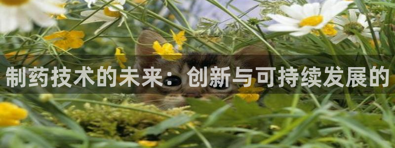九游会老哥俱乐部论坛版：制药技术的未来：创新与可持续发展的