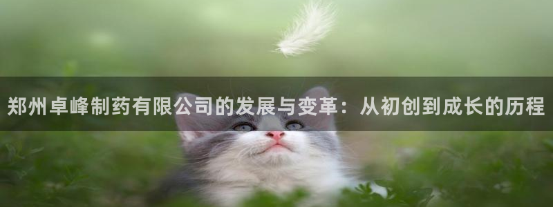 九游老哥俱乐部官网登录入口：郑州卓峰制药有限公司的发展与变革：从初创到成长的历程