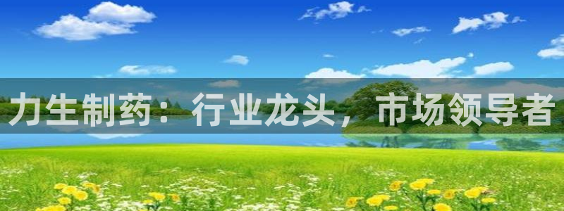 老哥俱乐部是干什么的啊：力生制药：行业龙头，市场领导者