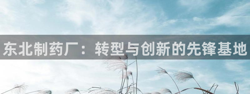 老哥吧九游会下架吗：东北制药厂：转型与创新的先锋基地