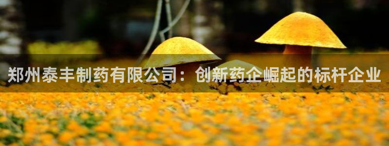 九游会老哥俱乐部论坛版：郑州泰丰制药有限公司：创新药企崛起的标杆企业