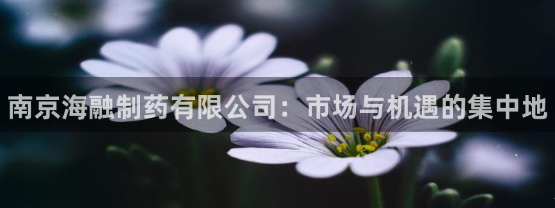 9游会老哥俱乐部：南京海融制药有限公司：市场与机遇的集中地