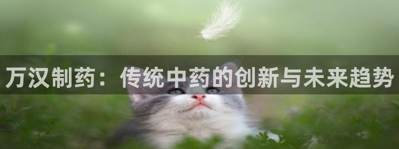 九游会老哥俱乐部必备的交流社区论坛：万汉制药：传统中药的创新与未来趋势