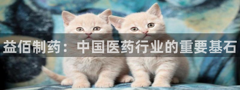 usdt九游会老哥俱乐部：益佰制药：中国医药行业的重要基石