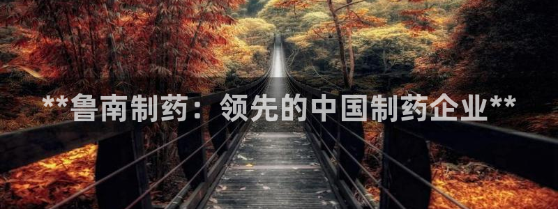 九游会老哥必备的交流社区：**鲁南制药：领先的中国制药企业**