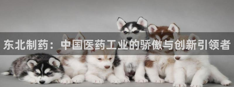 九游会老哥俱乐部：东北制药：中国医药工业的骄傲与创新引领者