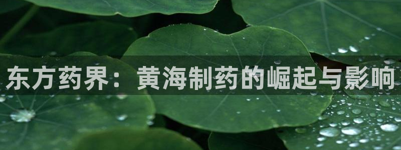 九游会老哥俱乐部交流社区：东方药界：黄海制药的崛起与影响