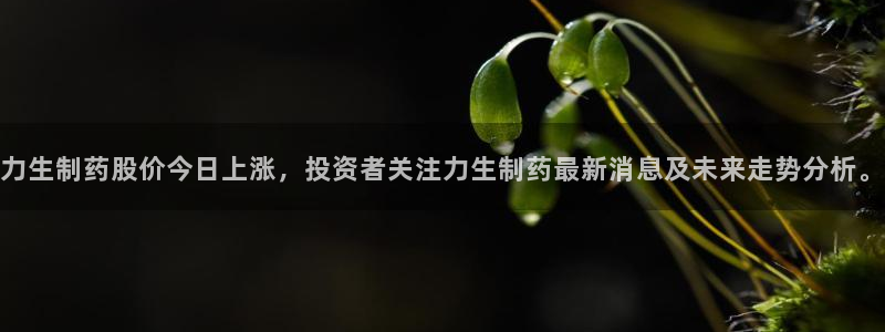 老哥吧九游会：力生制药股价今日上涨，投资者关注力生制药最新消息及未来走势分析。