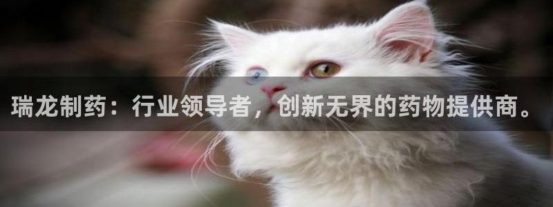 ag九游老哥俱乐部：瑞龙制药：行业领导者，创新无界的药物提供