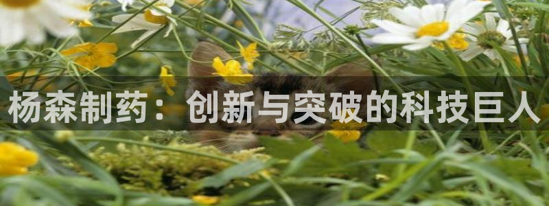 ag九游老哥俱乐部：杨森制药：创新与突破的科技巨人