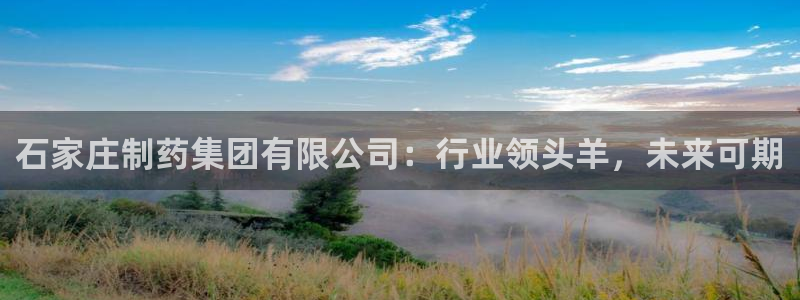 九游会老哥俱乐部交流社区：石家庄制药集团有限公司：行业领头羊，未来可期