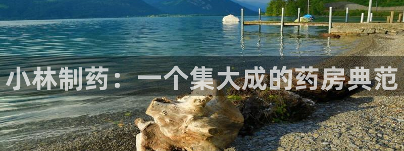 九游老哥俱乐部官网登录入口：小林制药：一个集大成的药房典范