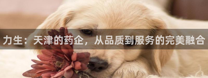 九游老哥俱乐部官网登录网址：力生：天津的药企，从品质到服务的完美融合