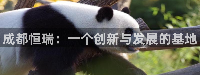 九游老哥俱乐部登录：成都恒瑞：一个创新与发展的基地