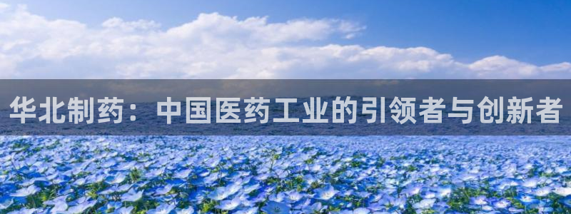 九游会老哥俱乐部论坛版:华北制药:中国医药工业的引领者与创新