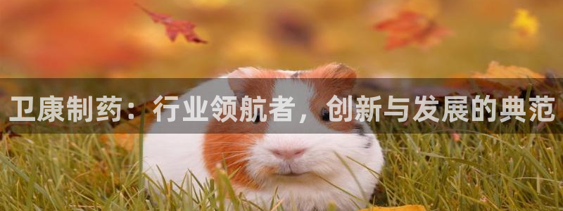 九游老哥俱乐部官网登录：卫康制药：行业领航者，创新与发展的典