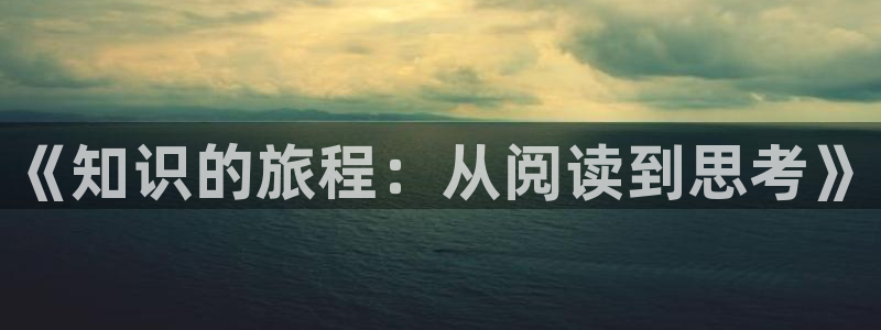 久久小说资源：《知识的旅程：从阅读到思考》