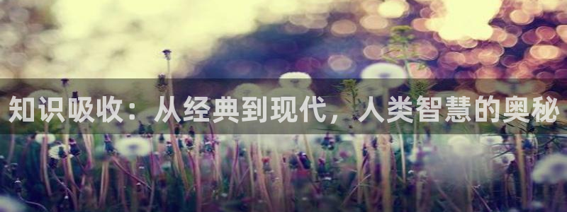 久久小说app：知识吸收：从经典到现代，人类智慧的奥秘