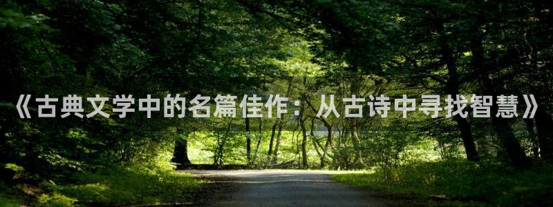 野火久久小说：《古典文学中的名篇佳作：从古诗中寻找智慧》