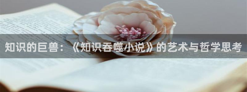 久久小说网txt电子书下载：知识的巨兽：《知识吞噬小说》的艺术与哲学思考