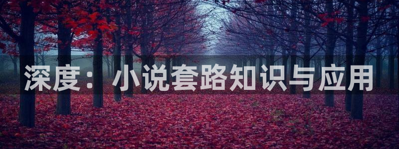 .久久小说网：深度：小说套路知识与应用