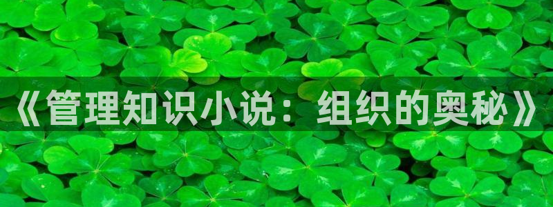 爱久久小说：《管理知识小说：组织的奥秘》