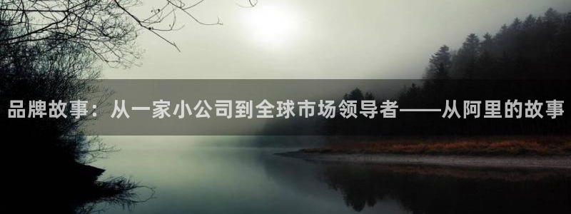 久久小说网txt下载免费：品牌故事：从一家小公司到全球市场领导者——从阿里的故事